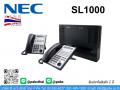 IP PBX